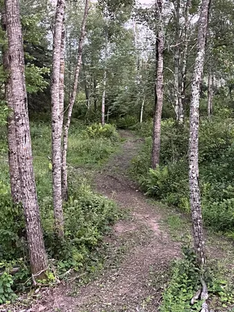 $159,900 | 2155 East Kingsdale Road, Danbury, WI 54830