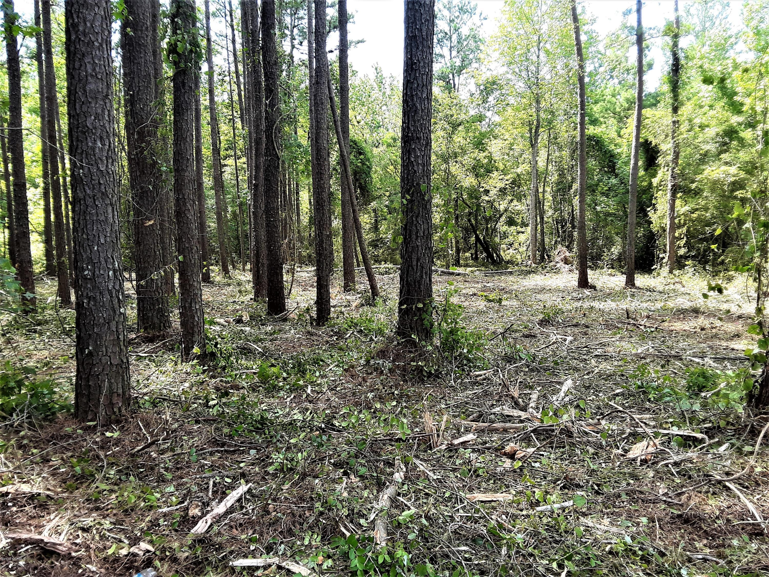 Lot 3 Rivenbark Road Currie, NC 28435 - Photo 4 of 5 new pic3