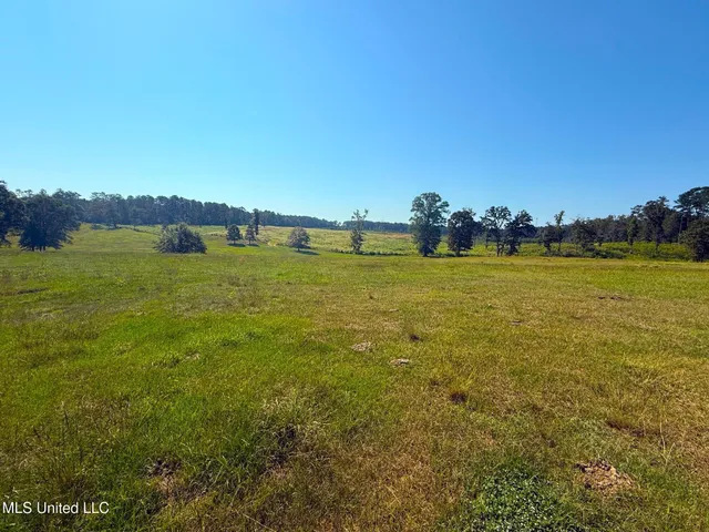 $775,000 | 7020 Gibson Road, McComb, MS 39648