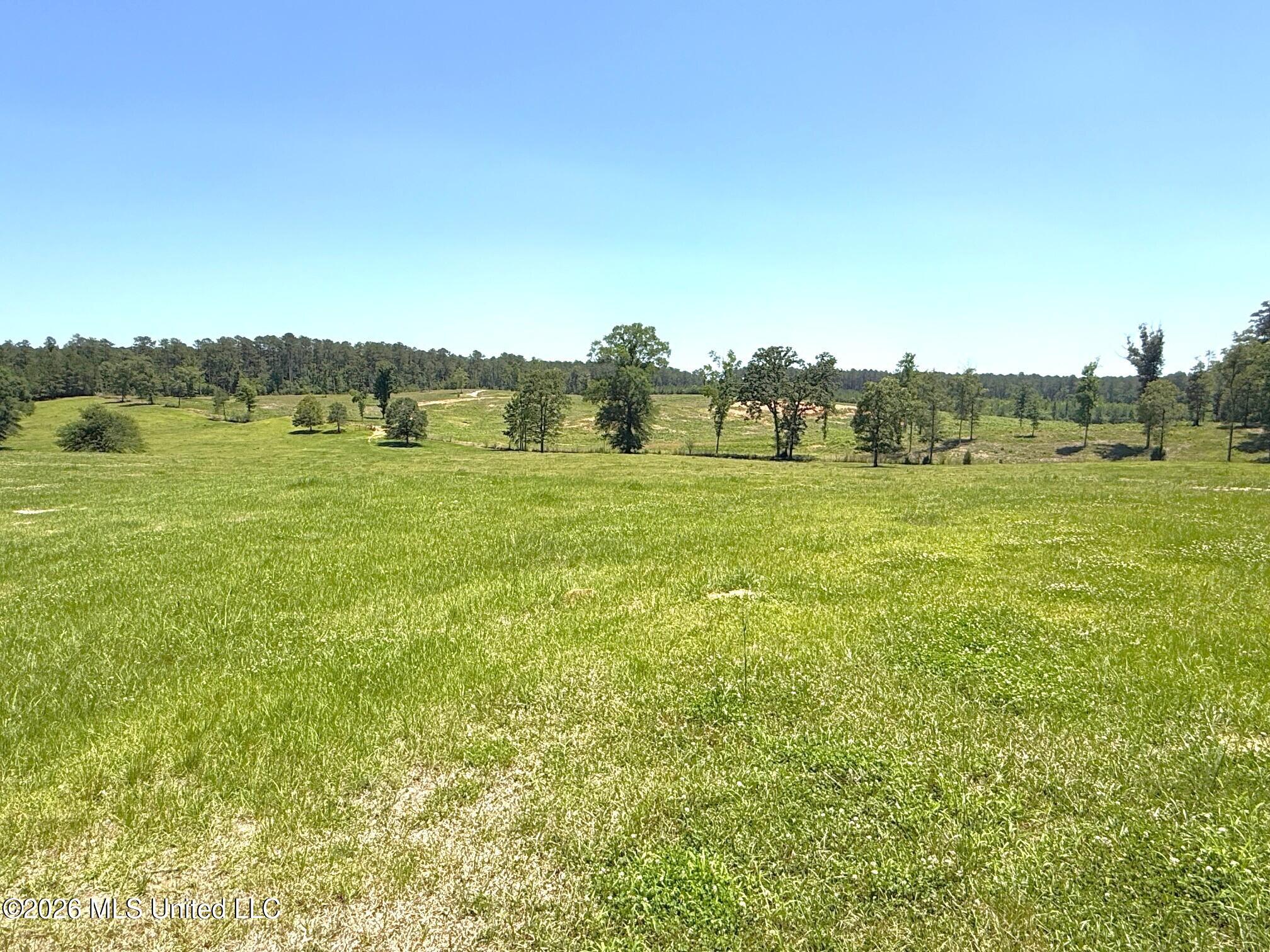 7020 Gibson Road McComb, MS 39648 - Photo 45 of 60 IMG_3344