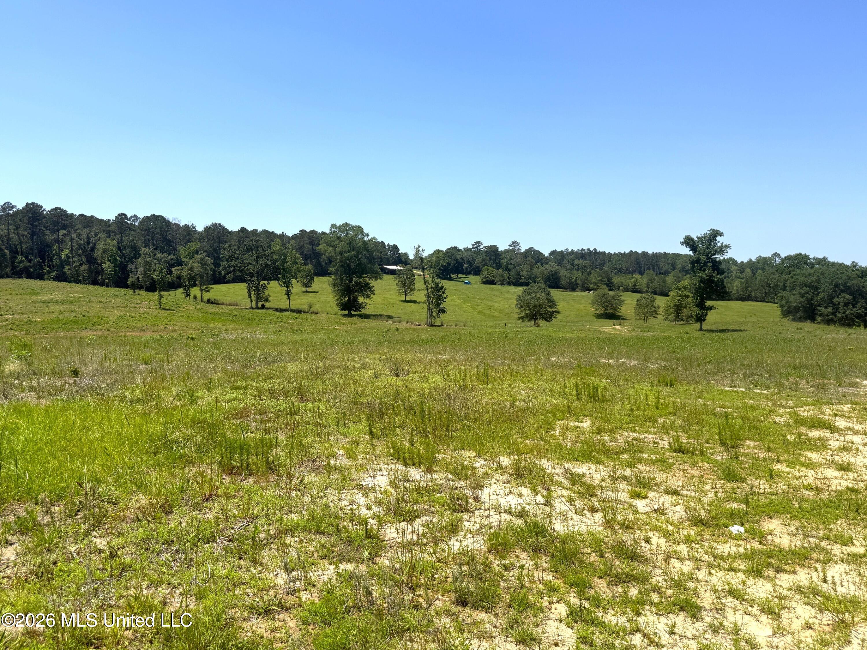 7020 Gibson Road McComb, MS 39648 - Photo 49 of 60 IMG_3348