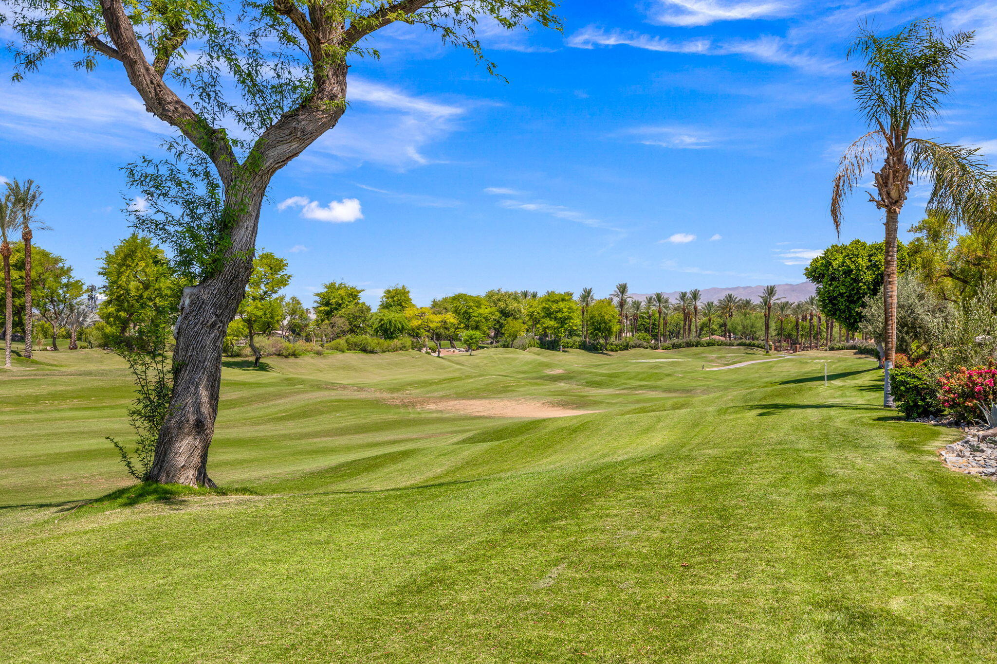 261 Eagle Dance Circle Palm Desert, CA 92211 - Photo 55 of 60 24-web-or-mls-8M4A0283