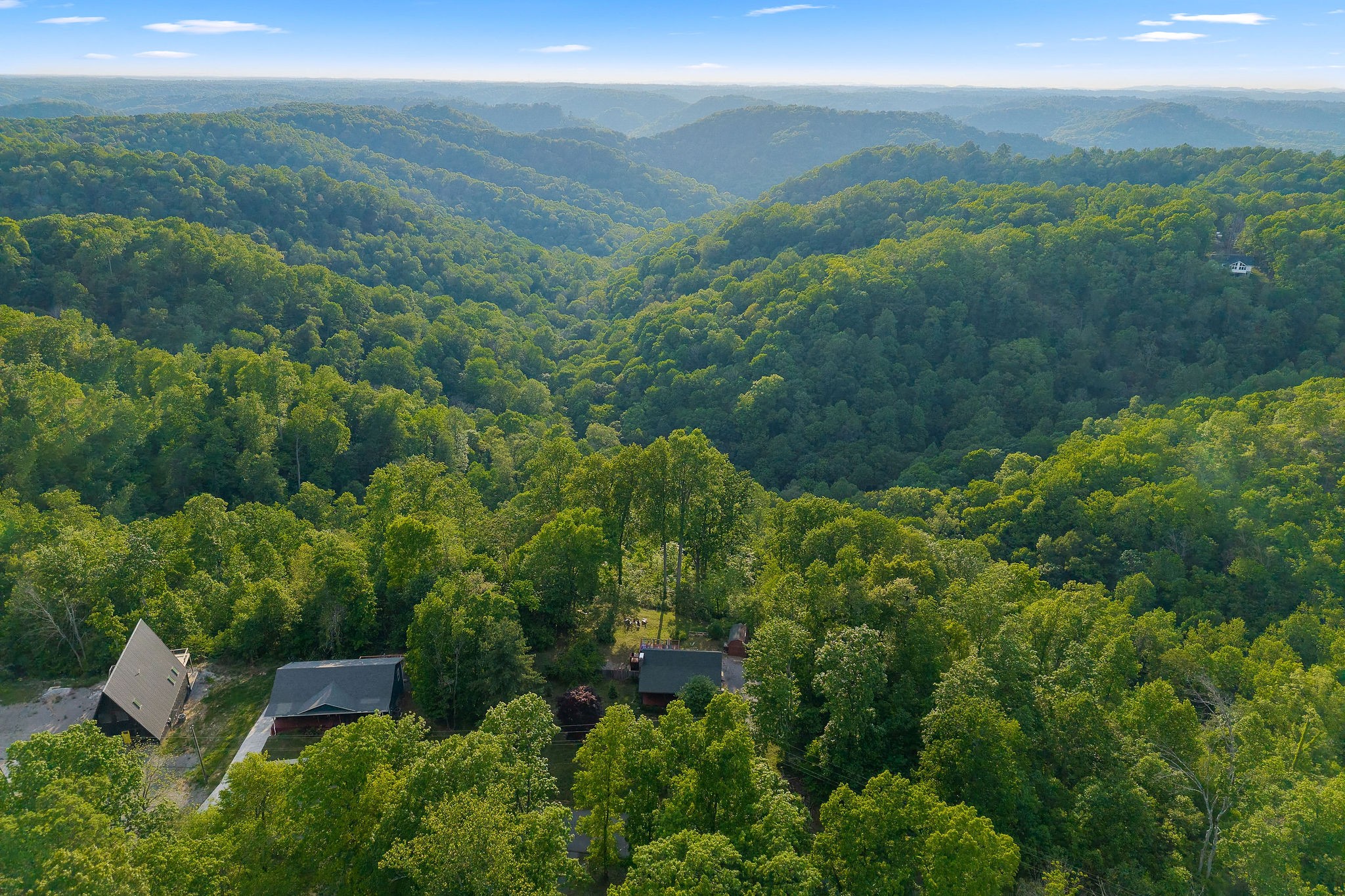 1673 Coconut Ridge Road Smithville, TN 37166 - Photo 5 of 59