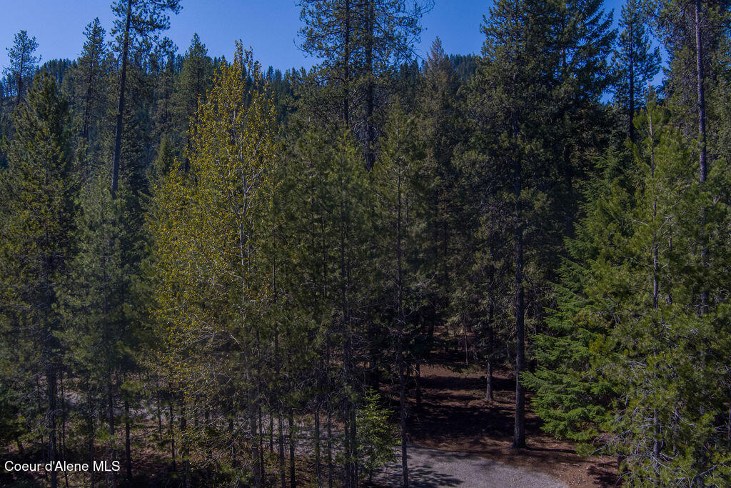 4 South Ryan Road Priest River, ID 83856 - Photo 8 of 15 S Ryan Rd