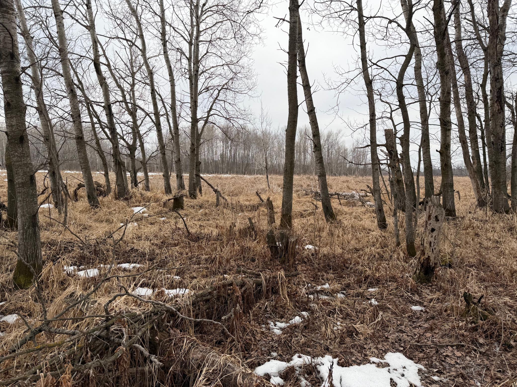 Tbd-b 180th Street Milaca, MN 56353 - Photo 56 of 80