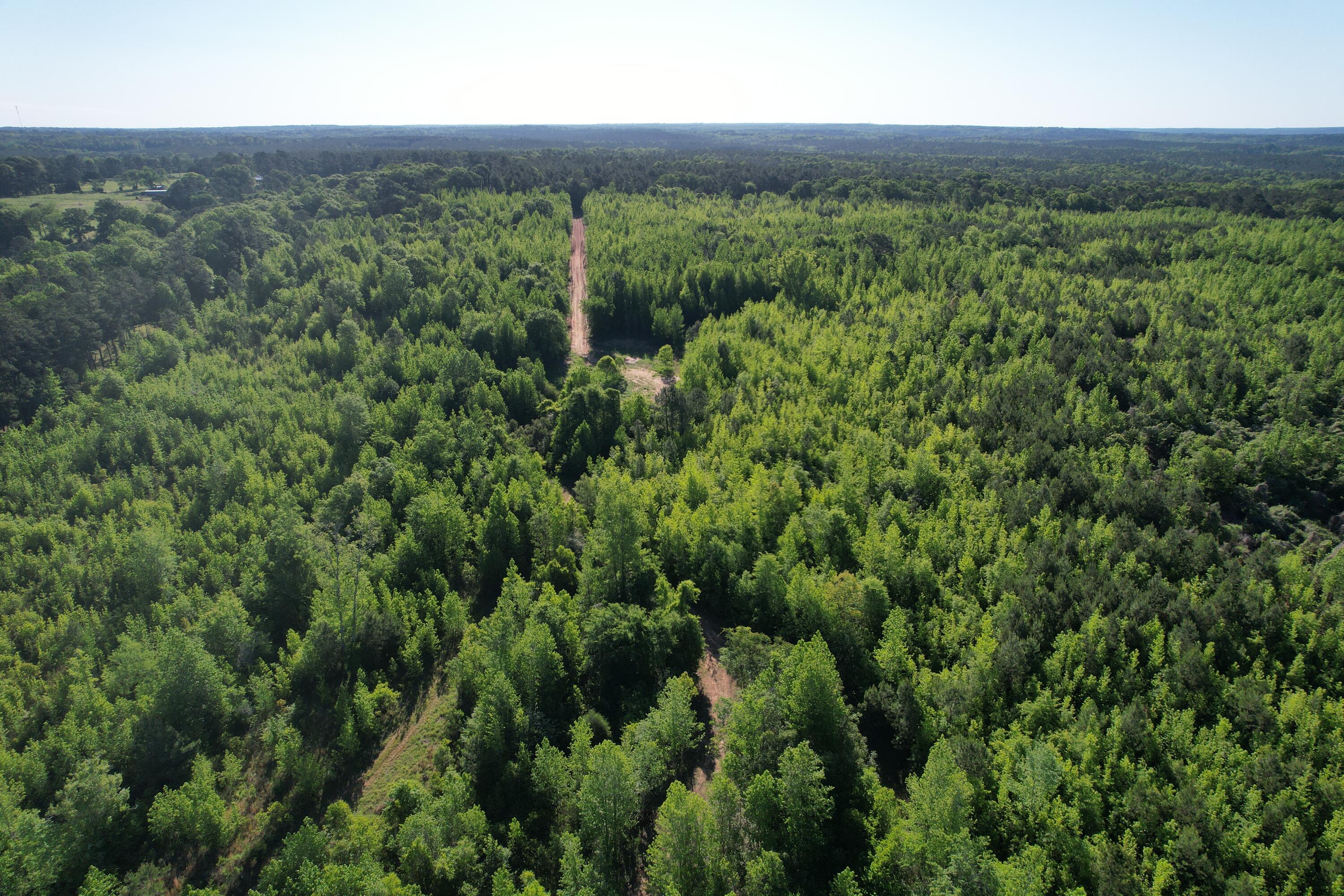182 Hunters Edgefield, SC 29824 - Photo 2 of 2 DJI_0325