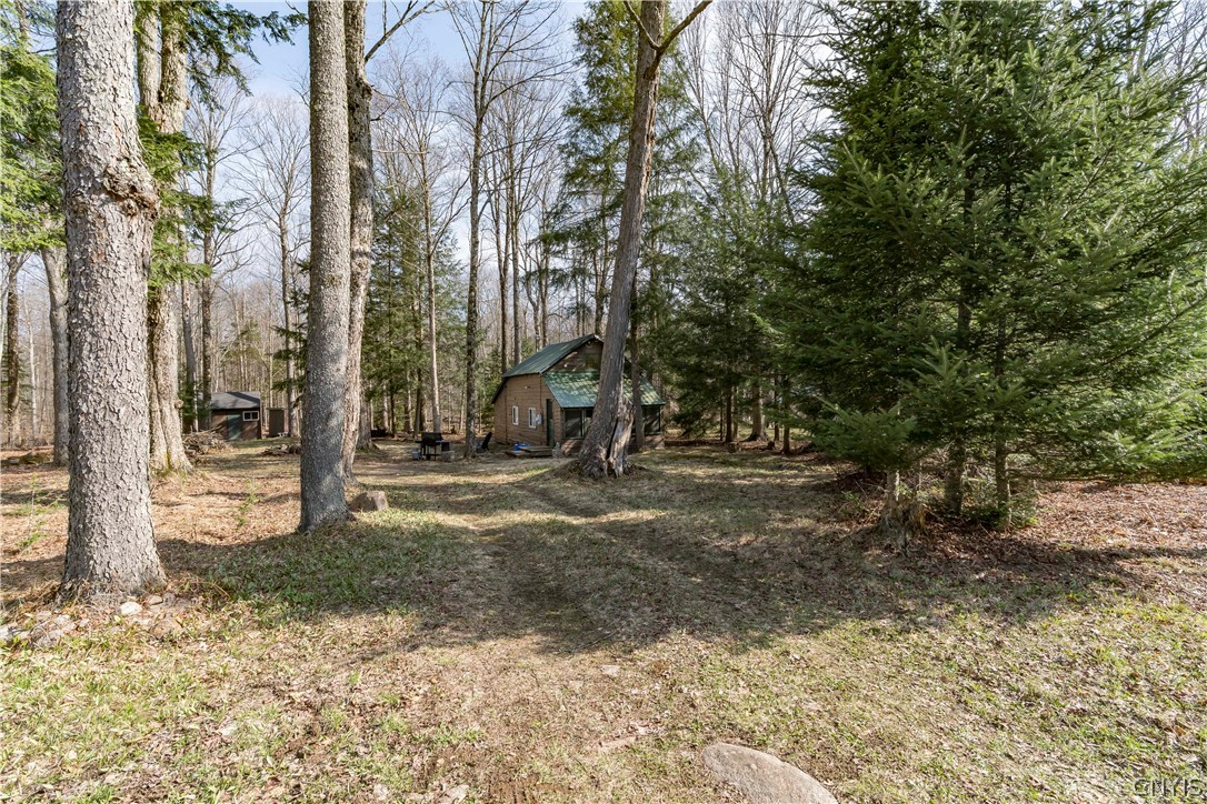 8805 Number 4 Road Watson, NY 13367 - Photo 19 of 20