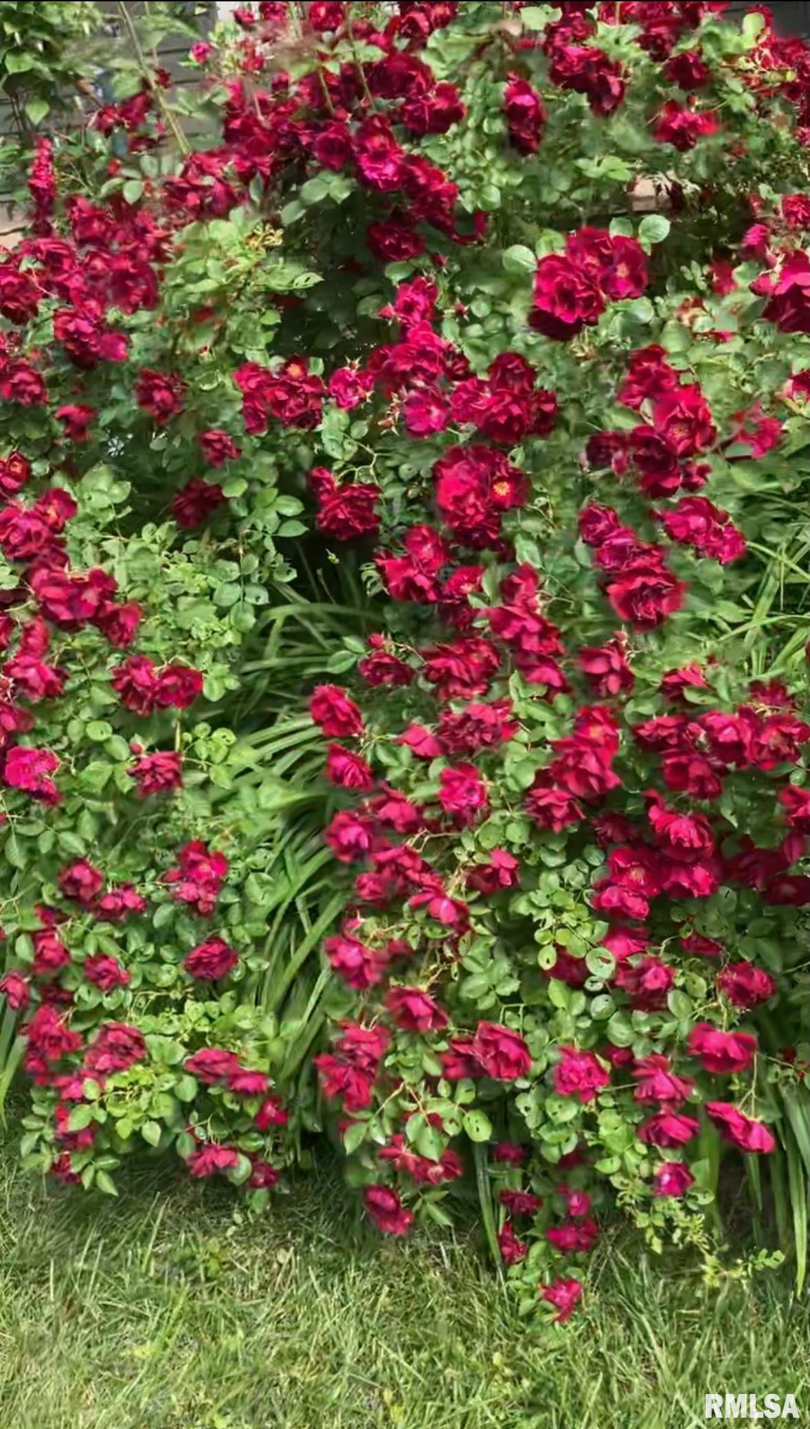 804 Main Street Henry, IL 61537 - Photo 5 of 57