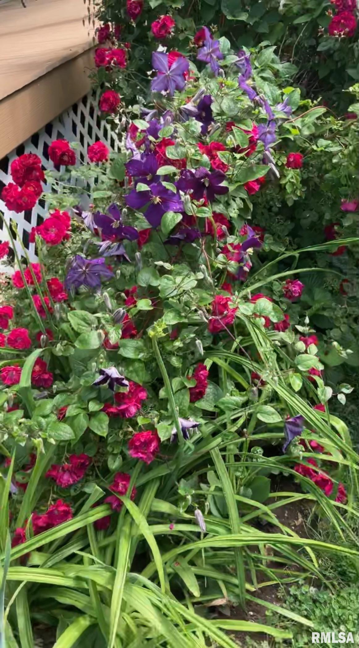 804 Main Street Henry, IL 61537 - Photo 57 of 57