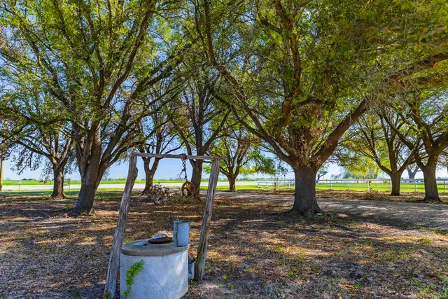 a view of outdoor space with deck and trees