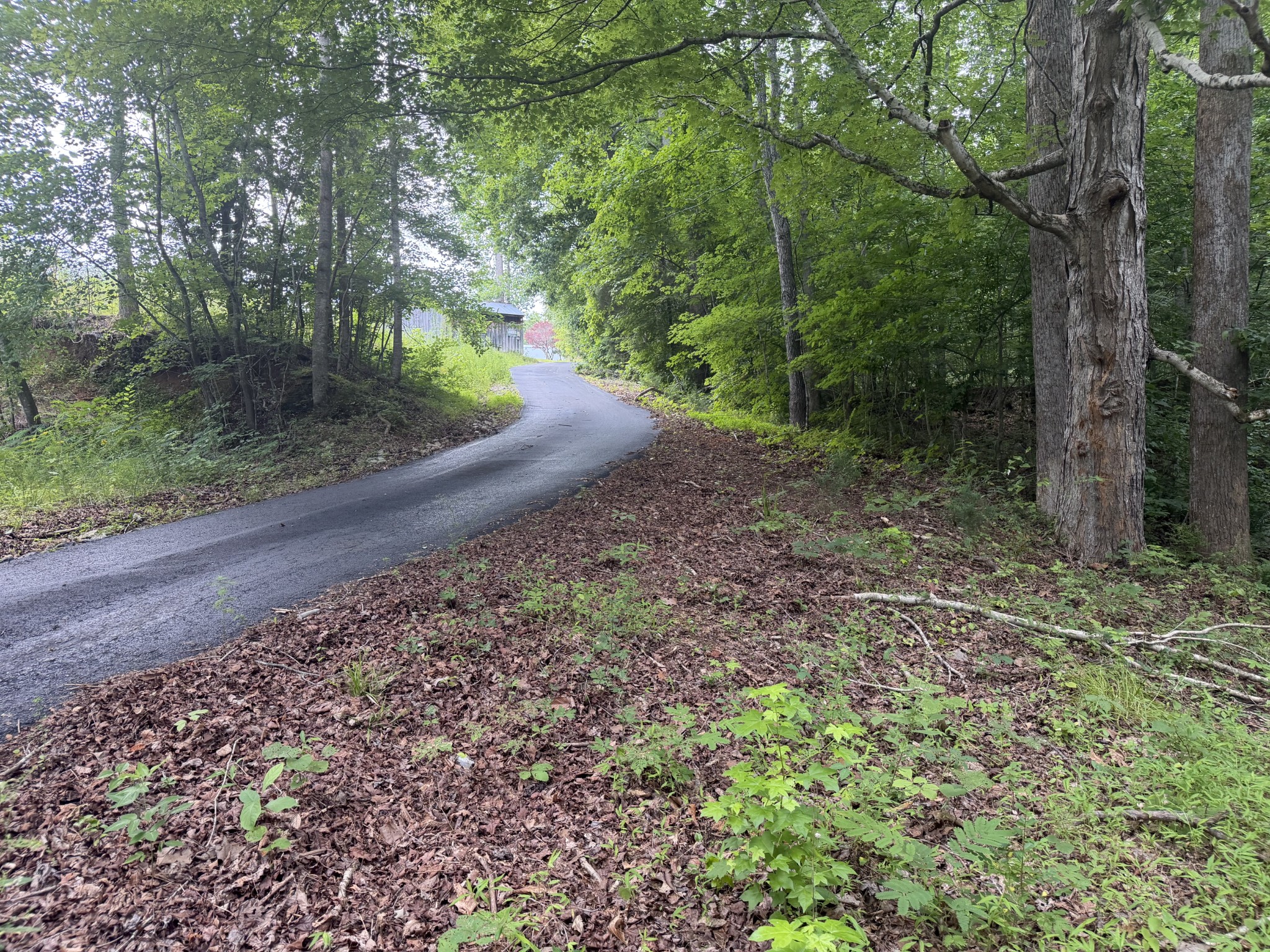 232 Cane Creek Road Hohenwald, TN 38462 - Photo 90 of 91