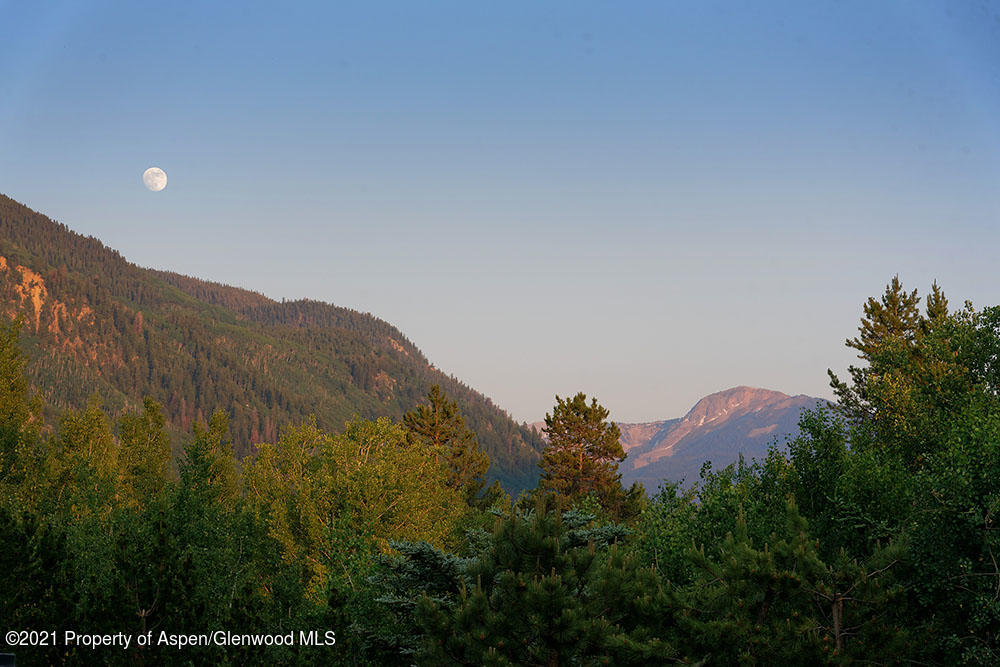 31 Northstar Circle Aspen, CO 81611 - Photo 51 of 51 a view of a dry yard with a tree in the background