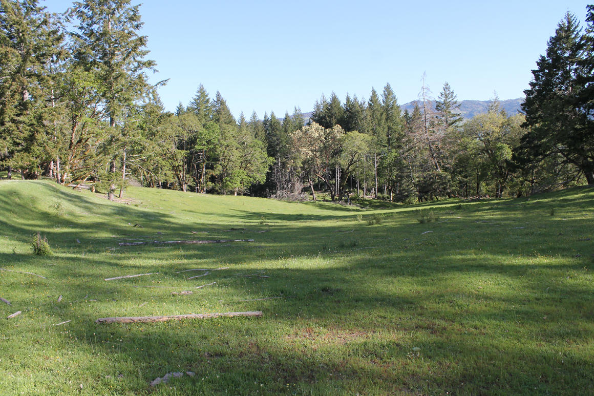 30855 Alderpoint Road, Unit MORE SEE REMARKS Blocksburg, CA 95514 - Photo 14 of 19