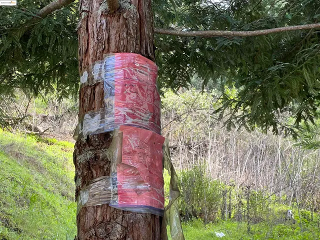 a sign that is on the side of the wall