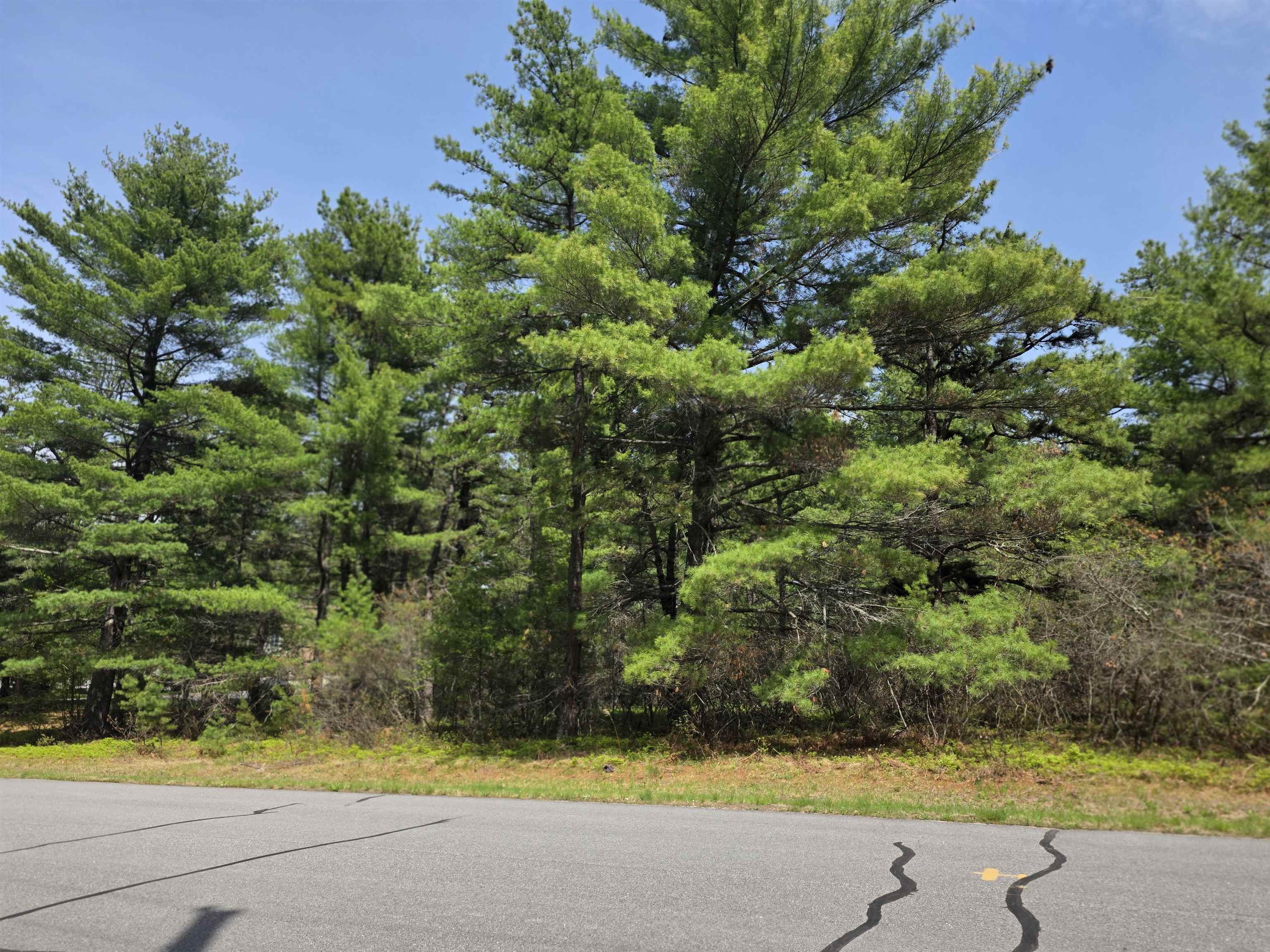 23 Logan Way Center Ossipee, NH 03814 - Photo 2 of 24