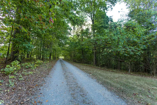 a view of a dirt pathway both side of yard