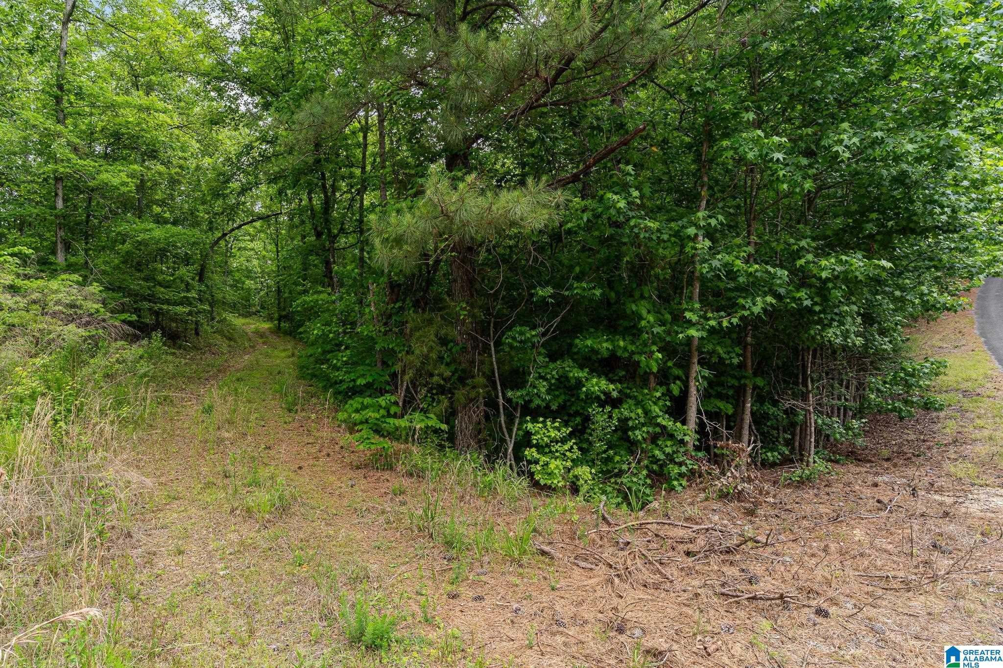 2317 Waldrop Road, Unit 4 AND 5 Ashville, AL 35953 - Photo 15 of 38