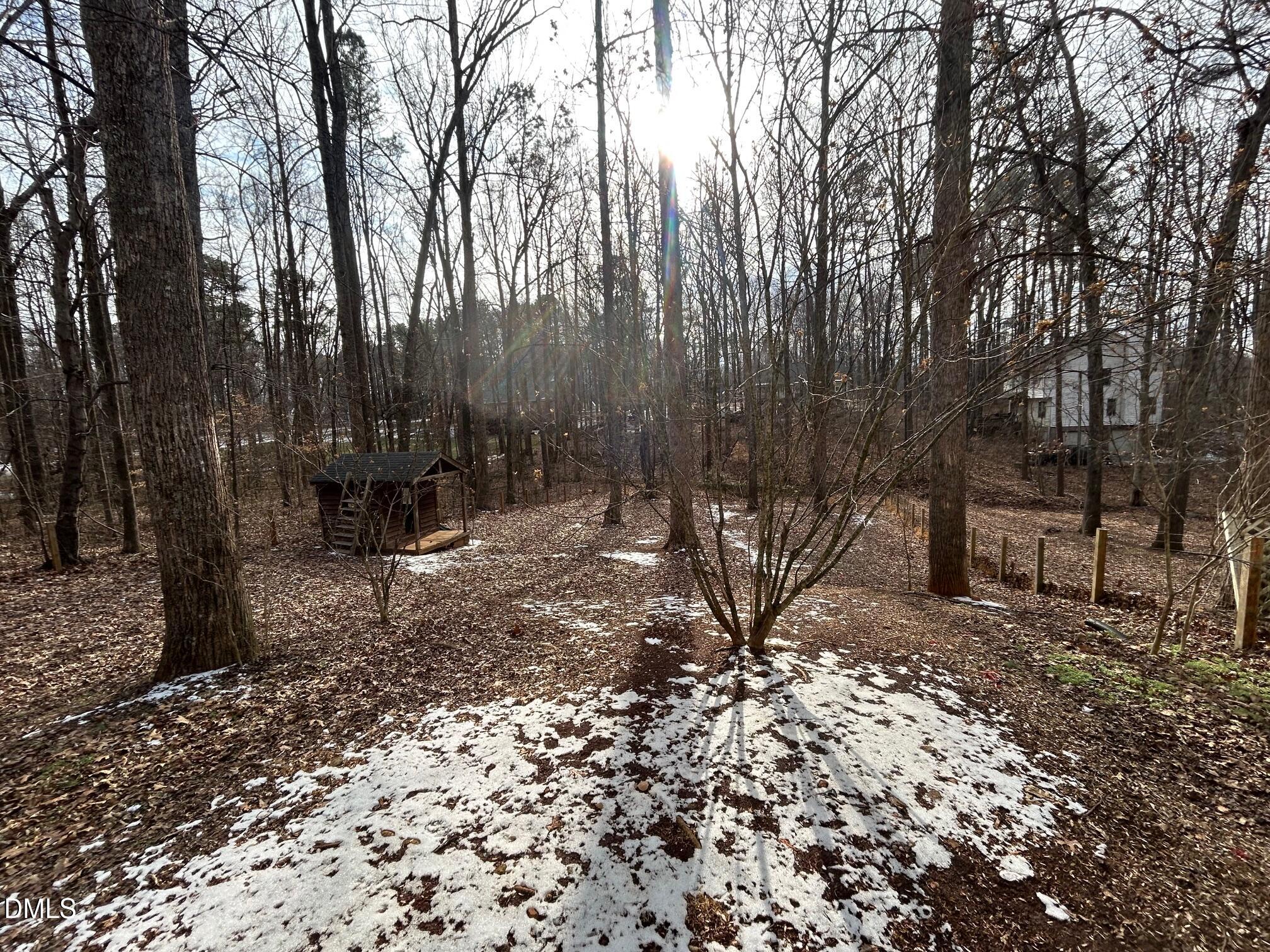 1220 Oxford Loop Road Oxford, NC 27565 - Photo 29 of 30 a view of a forest filled with trees