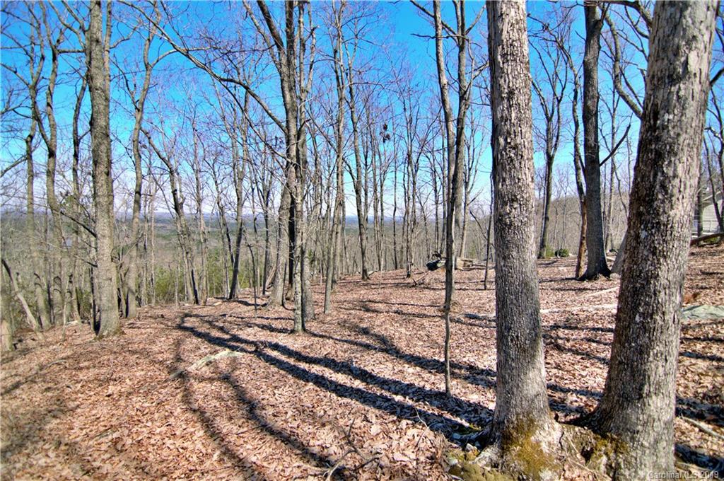 409 Sierra Trace Road, Unit 73 Denton, NC 27239 - Photo 13 of 34 a view of a backyard with trees