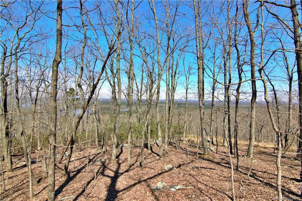 409 Sierra Trace Road, Unit 73 Denton, NC 27239 - Photo 14 of 34
