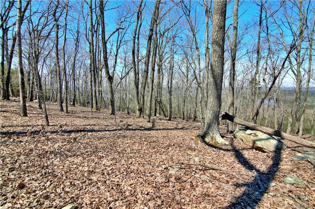 409 Sierra Trace Road, Unit 73 Denton, NC 27239 - Photo 15 of 34 a view of a backyard with large trees