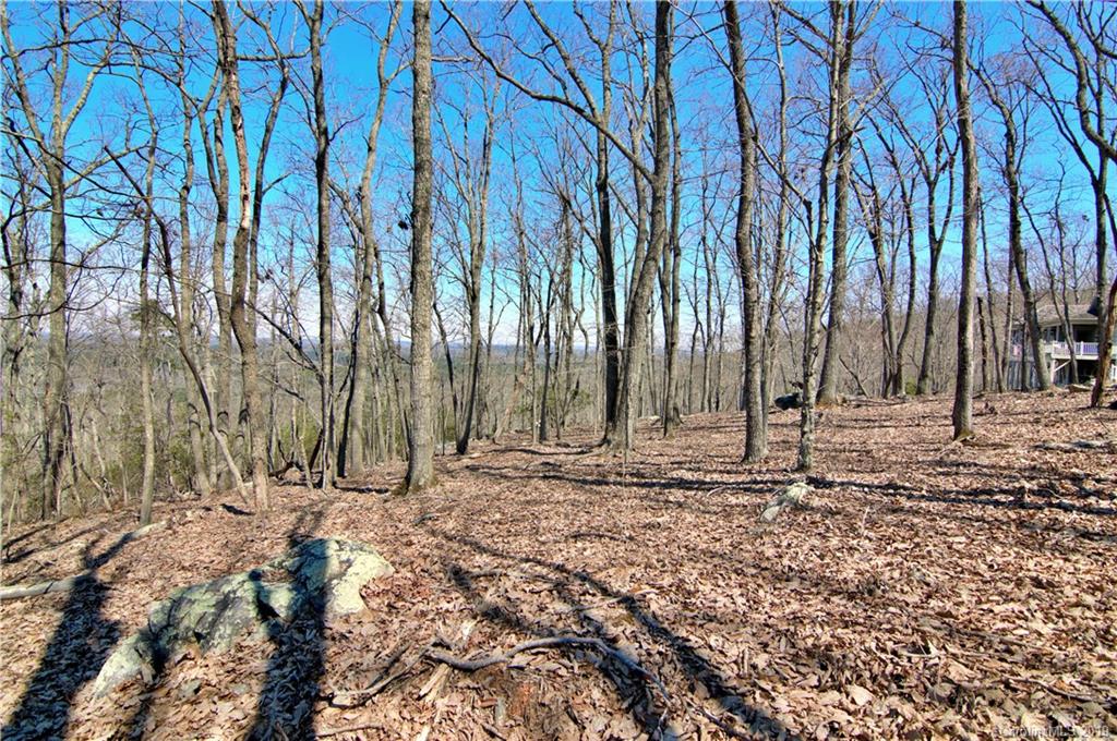 409 Sierra Trace Road, Unit 73 Denton, NC 27239 - Photo 16 of 34 a view of a backyard with trees