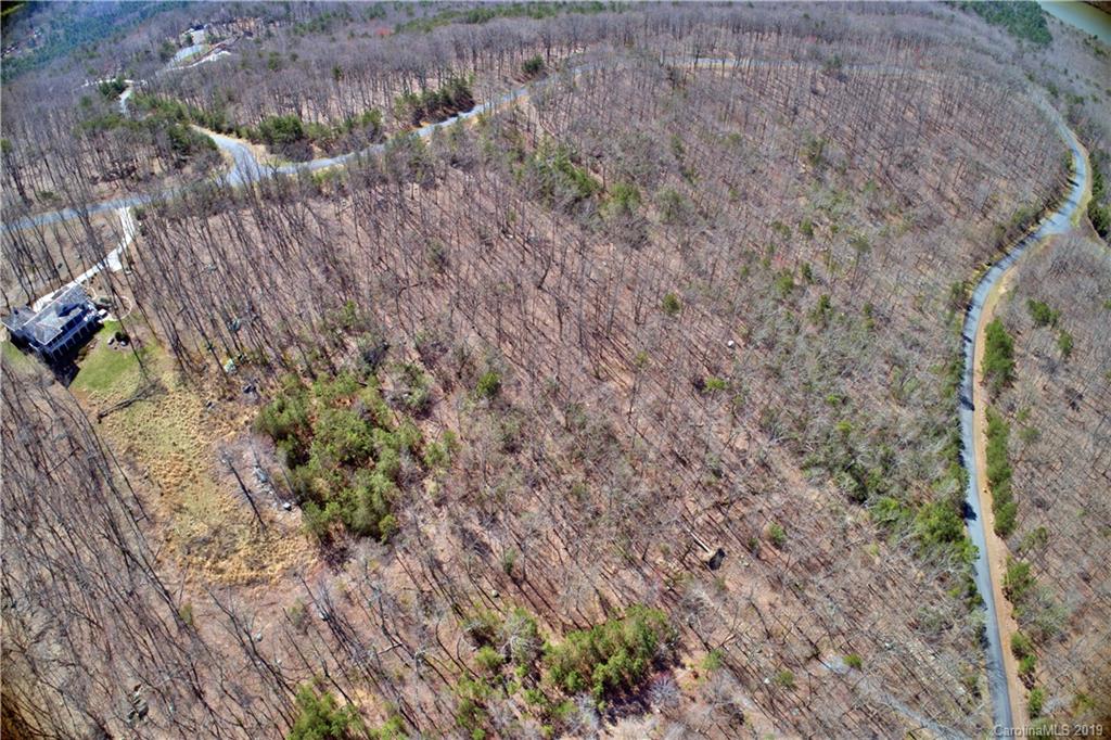 409 Sierra Trace Road, Unit 73 Denton, NC 27239 - Photo 7 of 34 a view of a dry yard with trees and bushes