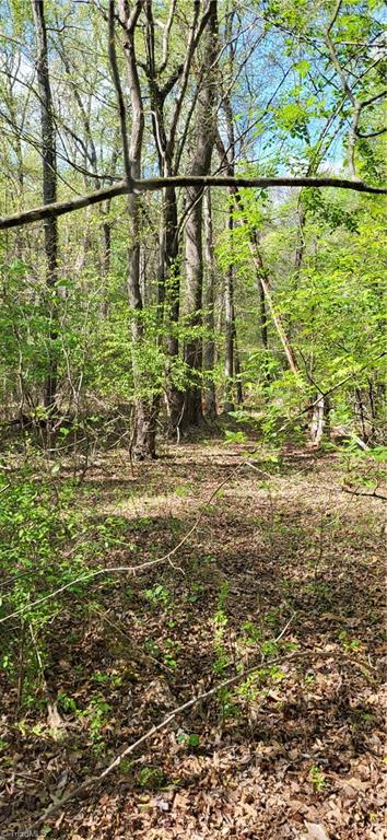 1642 Kersey Valley Road Archdale, NC 27263 - Photo 13 of 34