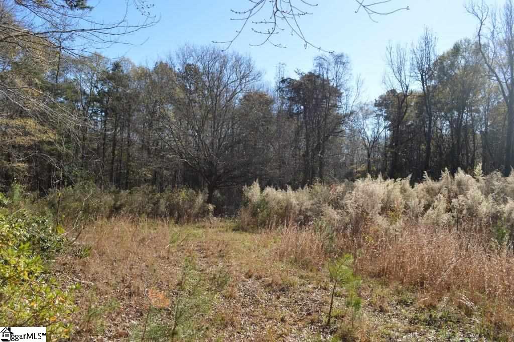 1570 Old Furnace Road Boiling Springs, SC 29316 - Photo 11 of 26 Gallery Image 11