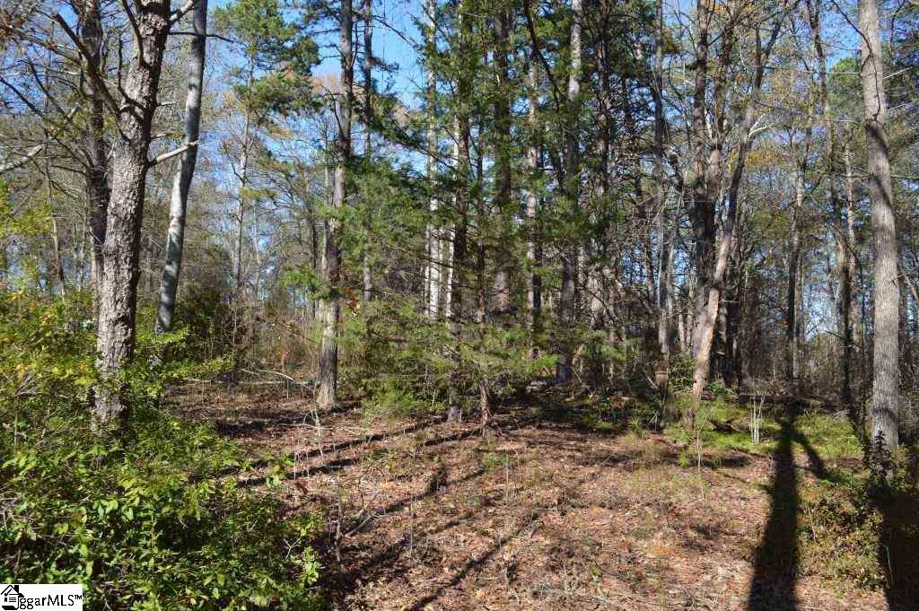 1570 Old Furnace Road Boiling Springs, SC 29316 - Photo 12 of 26 Gallery Image 12