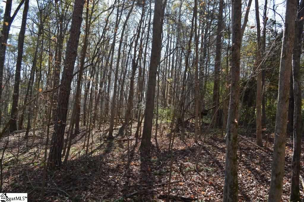 1570 Old Furnace Road Boiling Springs, SC 29316 - Photo 13 of 26 Gallery Image 13
