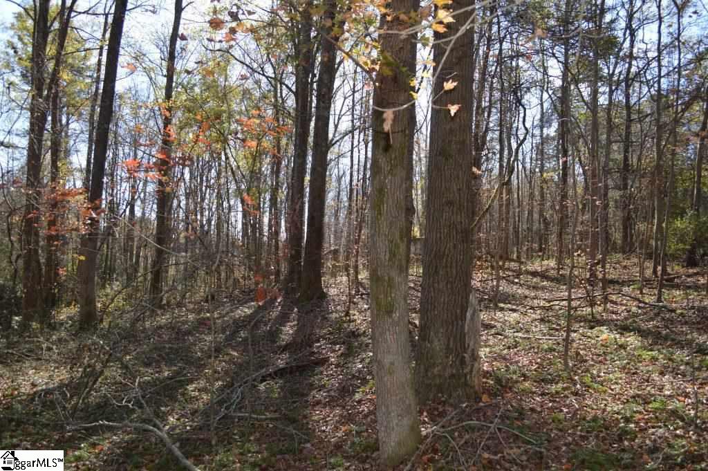 1570 Old Furnace Road Boiling Springs, SC 29316 - Photo 15 of 26 Gallery Image 15