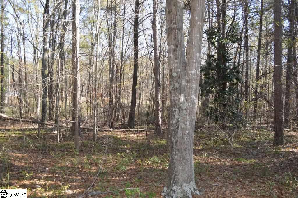 1570 Old Furnace Road Boiling Springs, SC 29316 - Photo 18 of 26 Gallery Image 18
