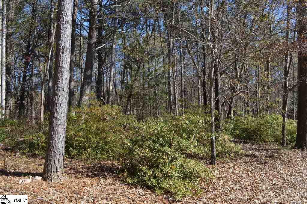 1570 Old Furnace Road Boiling Springs, SC 29316 - Photo 7 of 26 Gallery Image 7