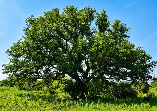 $3,747,100 | Undisclosed Address, Brady, TX 76825