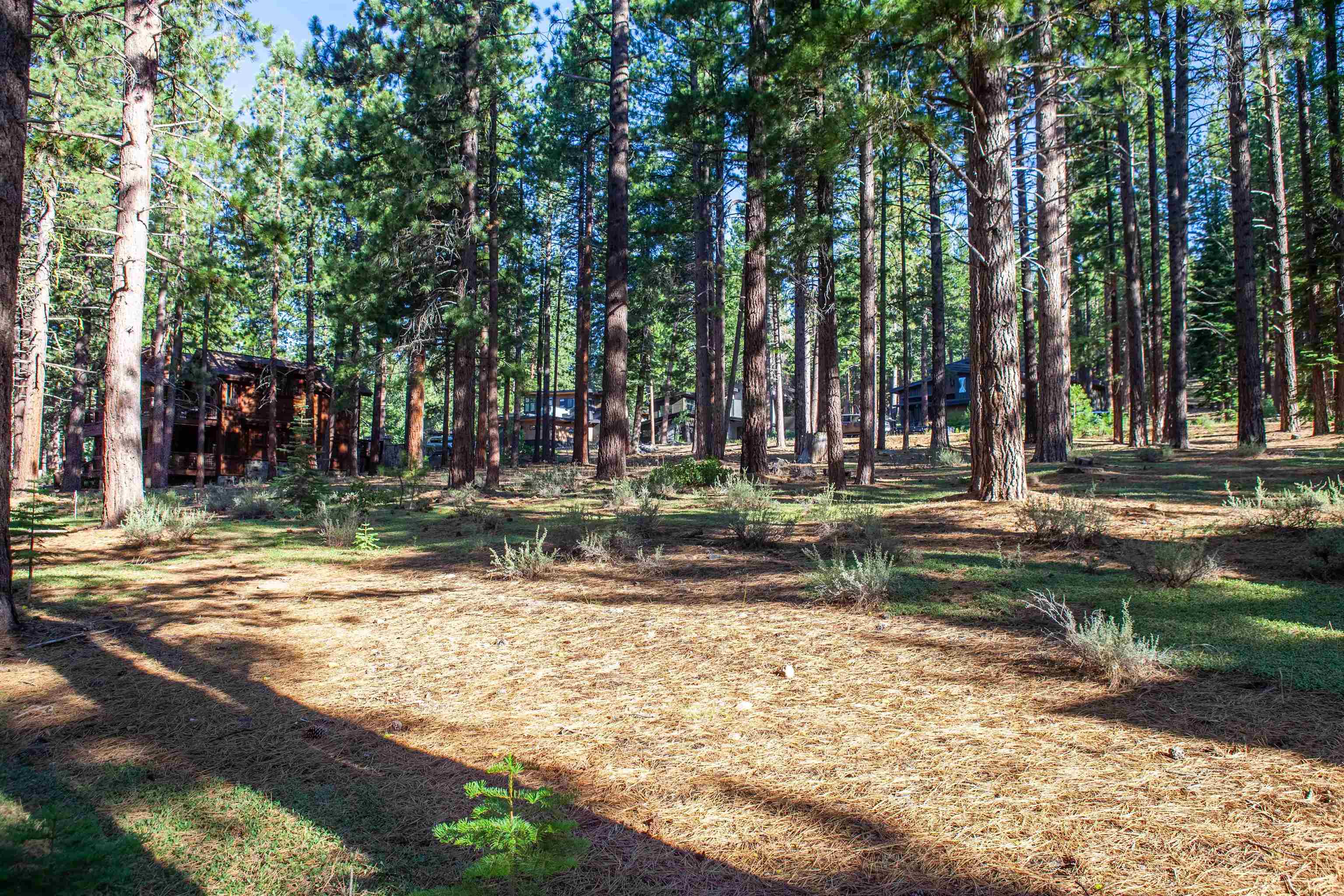 11561 Bottcher Loop Truckee, CA 96161 - Photo 14 of 21 a view of street view with trees