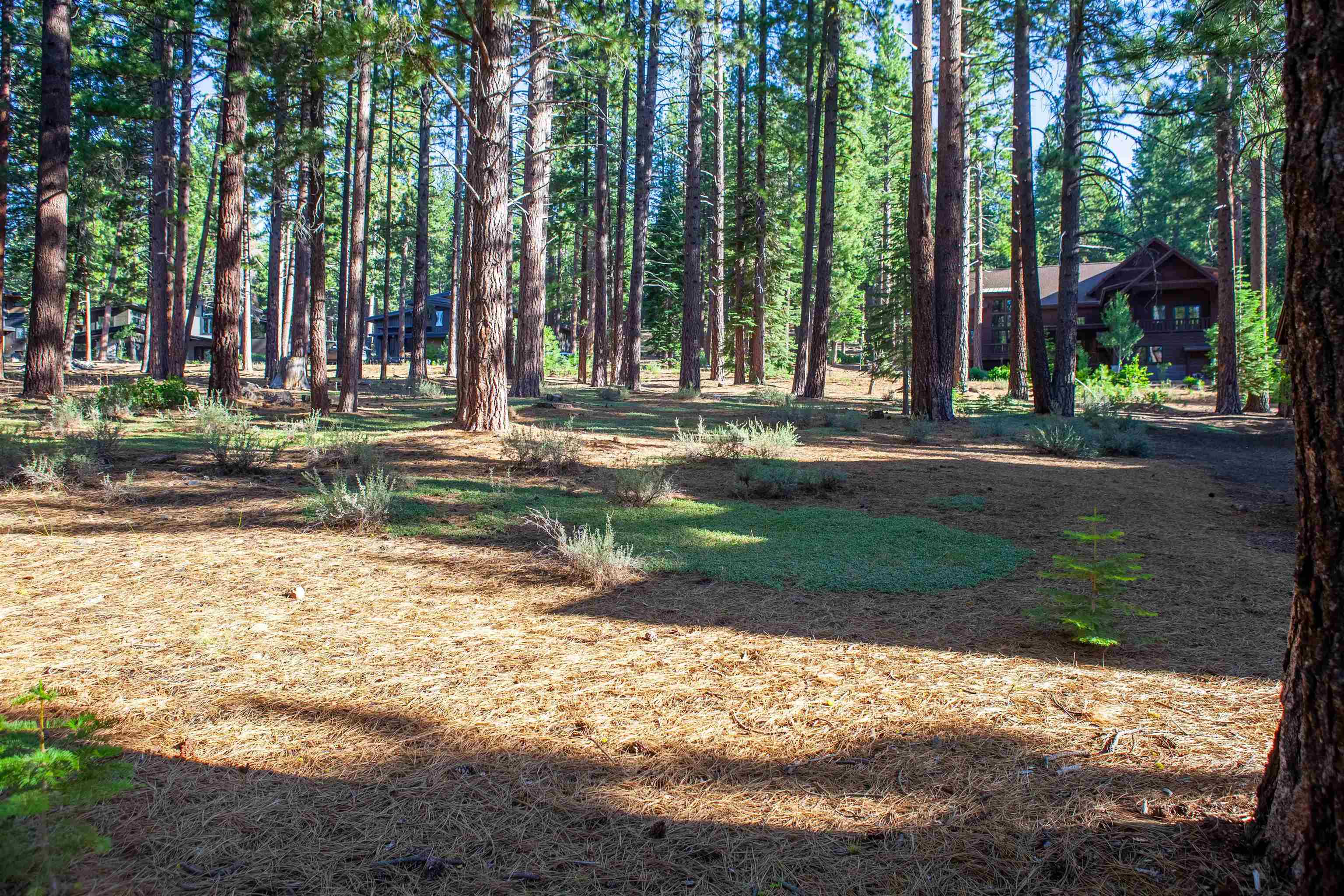 11561 Bottcher Loop Truckee, CA 96161 - Photo 15 of 21 a view of a house with backyard and trees