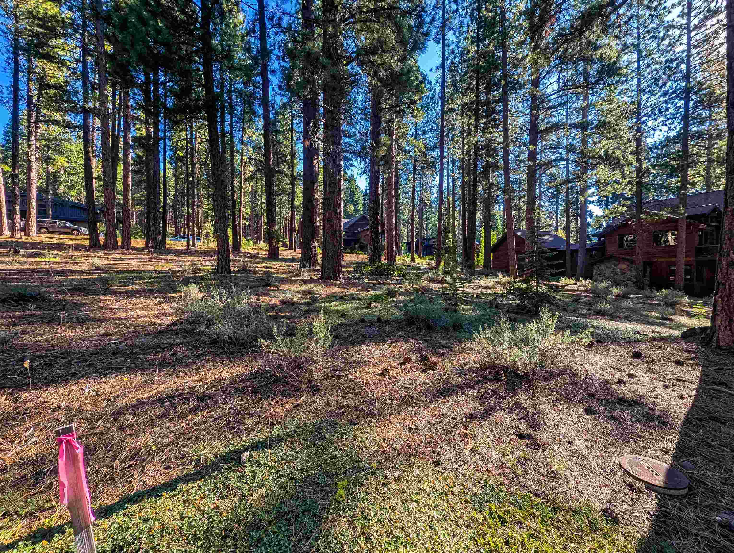 11561 Bottcher Loop Truckee, CA 96161 - Photo 17 of 21 a view of outdoor space with trees