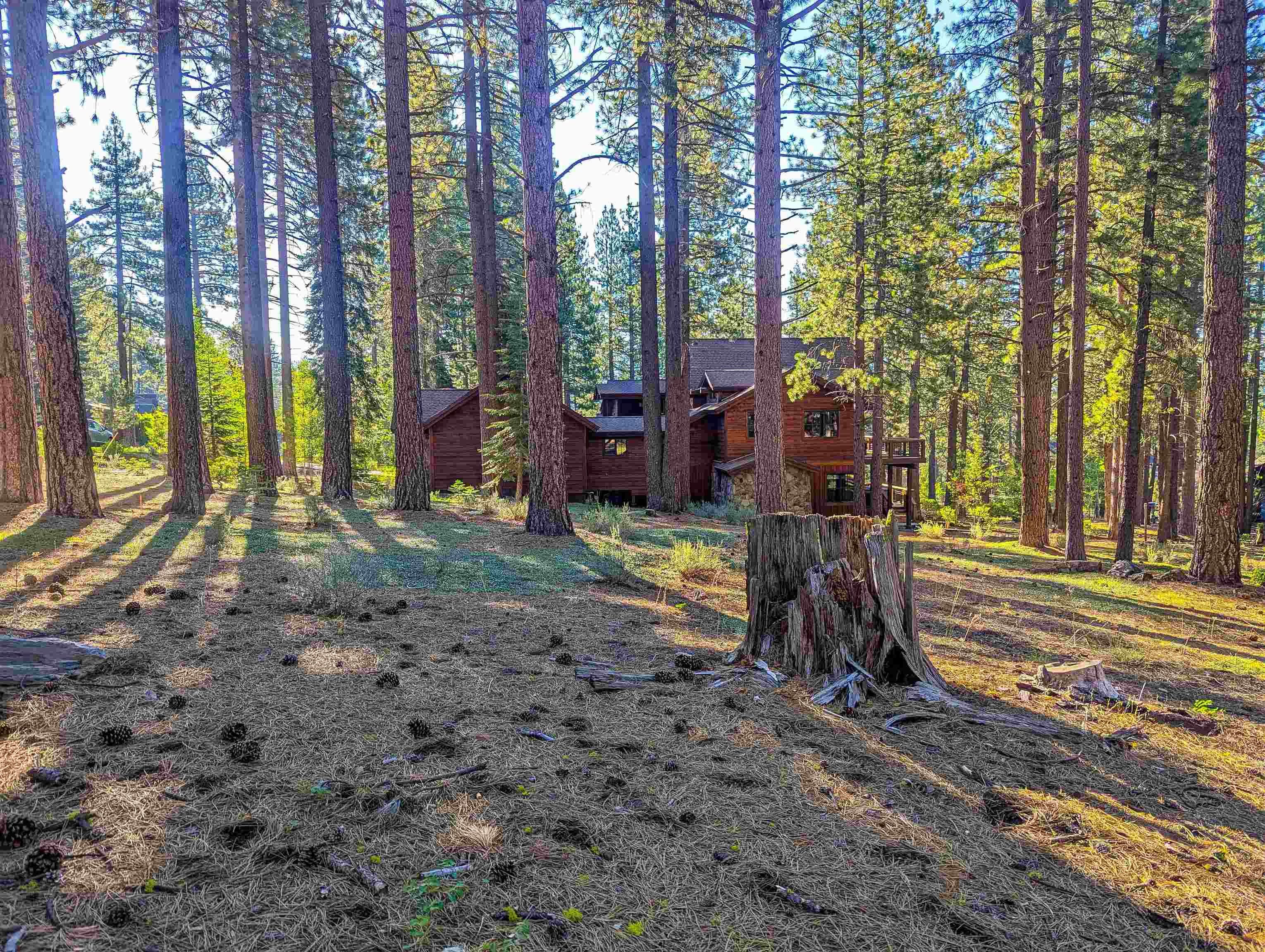 11561 Bottcher Loop Truckee, CA 96161 - Photo 18 of 21 a view of a backyard with trees
