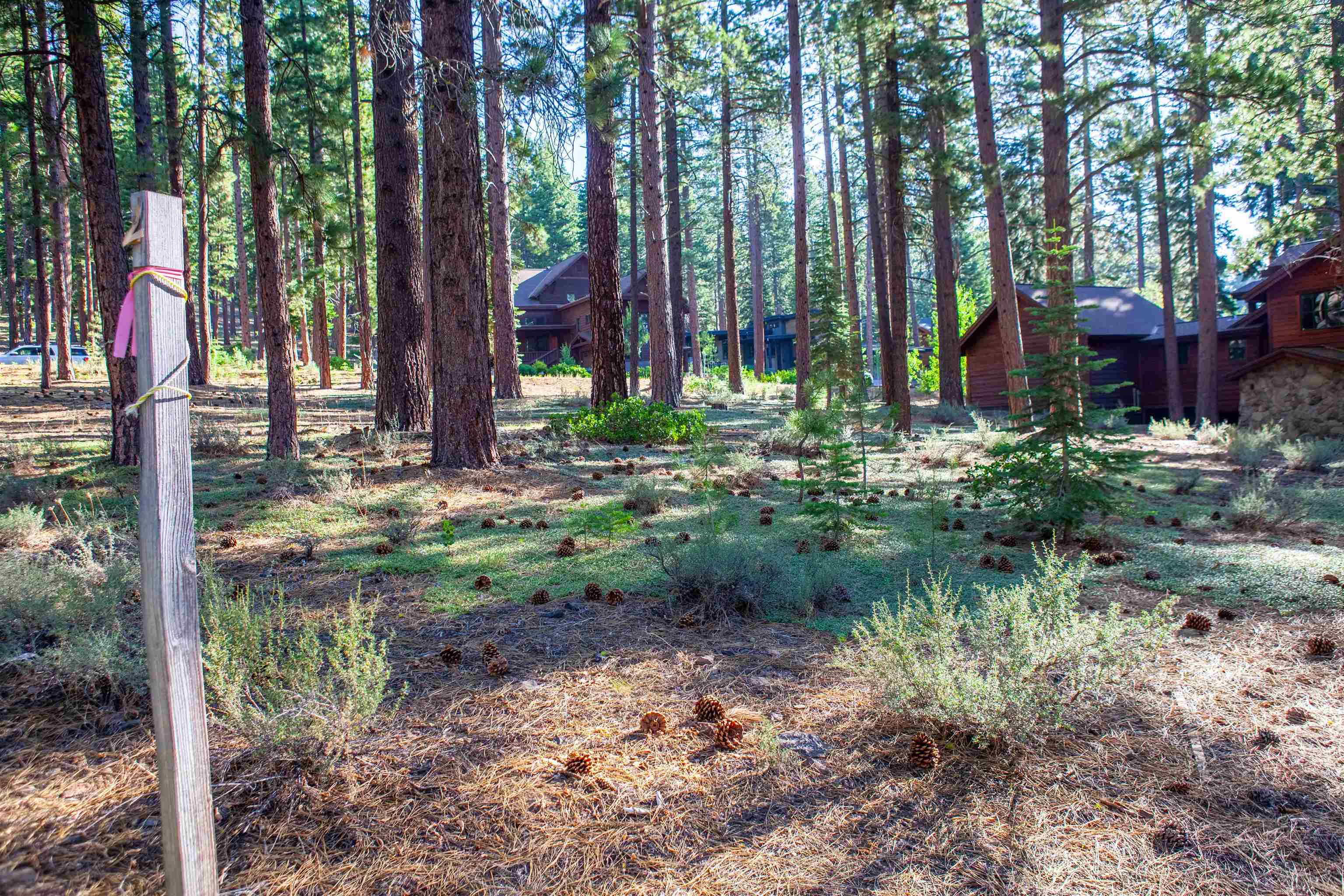 11561 Bottcher Loop Truckee, CA 96161 - Photo 19 of 21 a backyard of a house with lots of green space and fountain