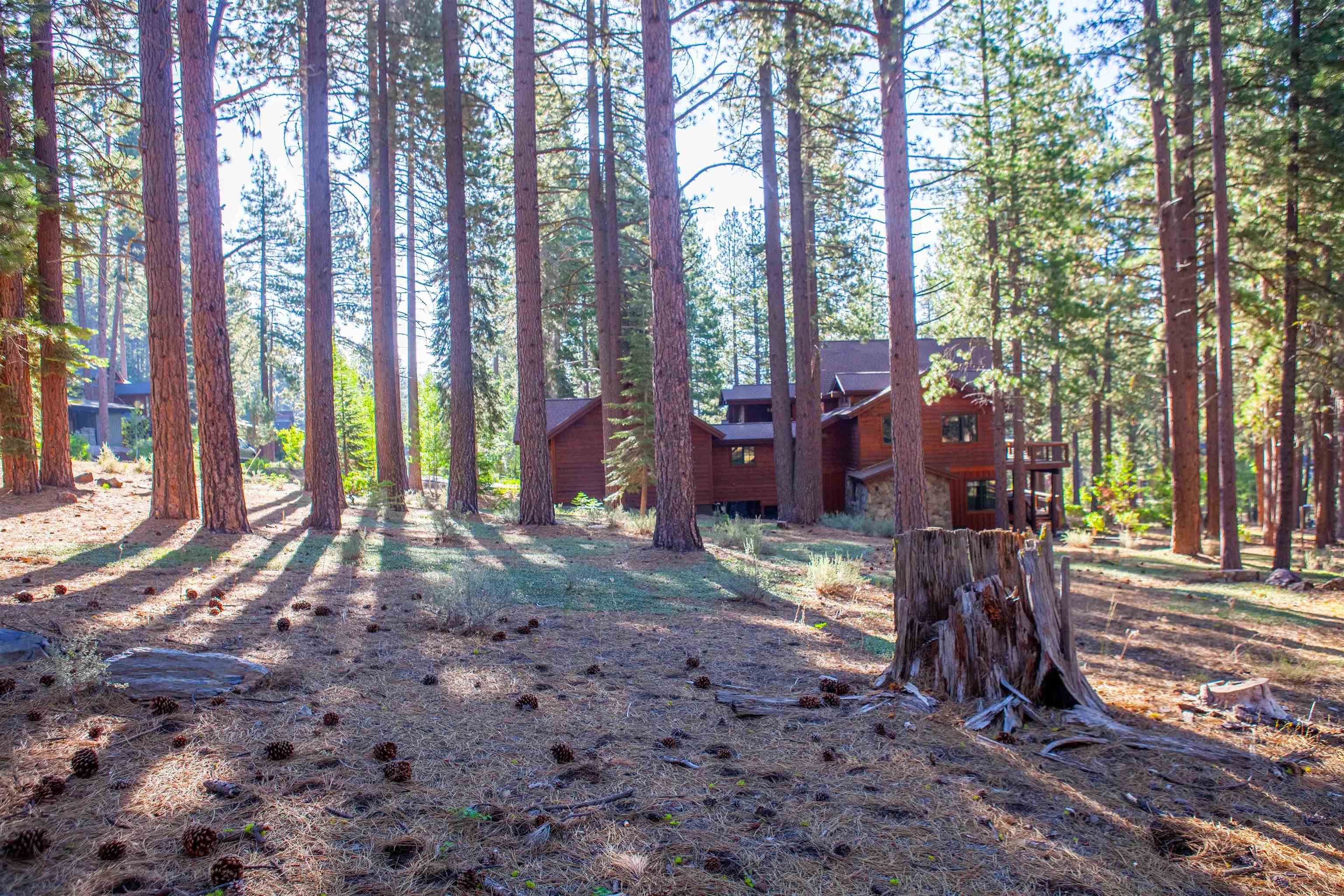 11561 Bottcher Loop Truckee, CA 96161 - Photo 20 of 21 a backyard of a house with lots of green space