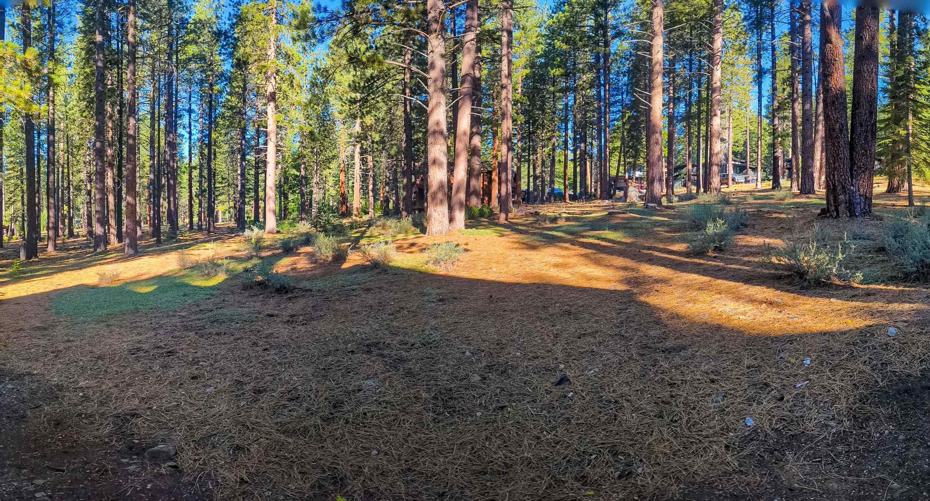 11561 Bottcher Loop Truckee, CA 96161 - Photo 3 of 21 a backyard of apartments with large trees