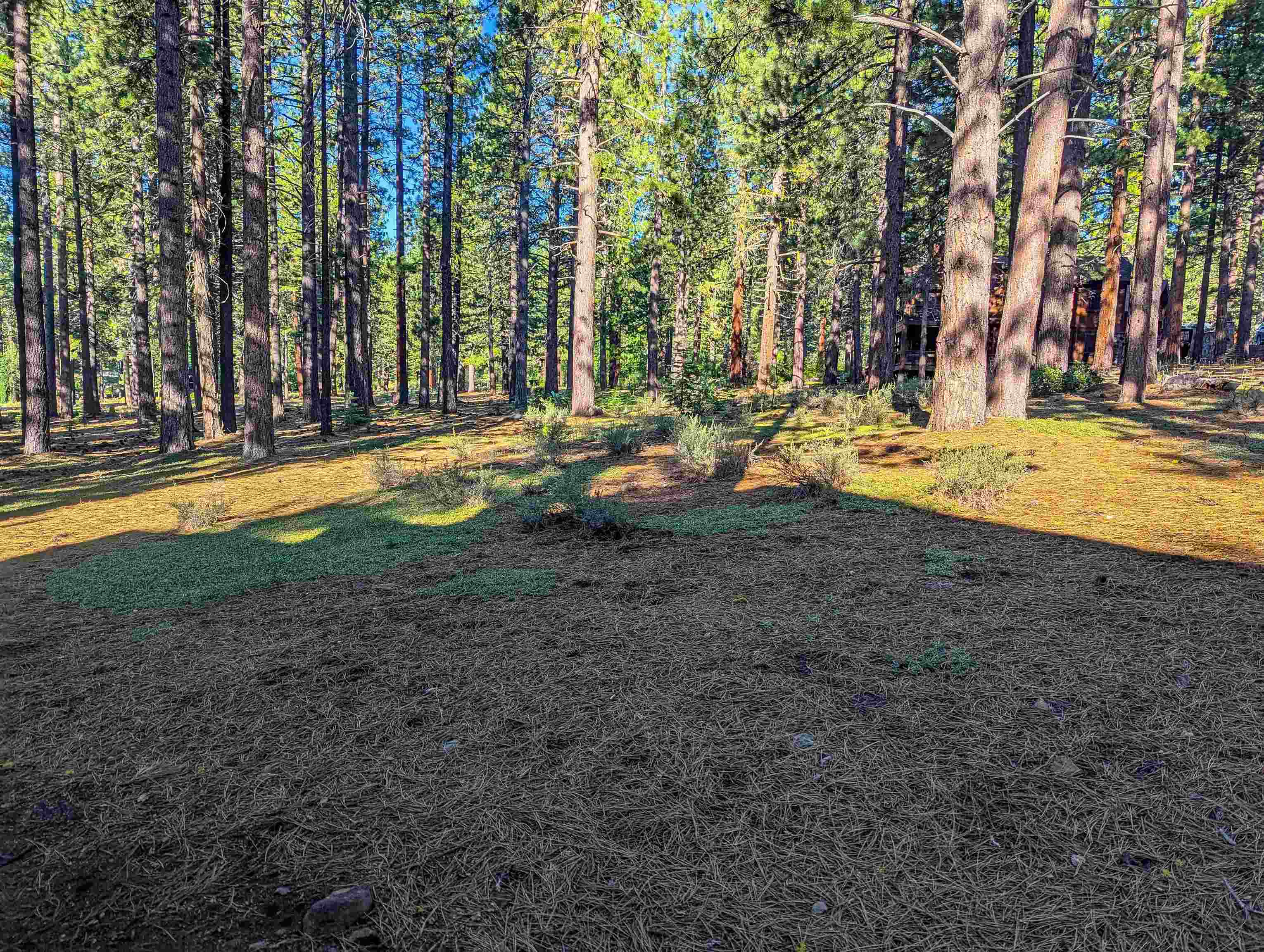 11561 Bottcher Loop Truckee, CA 96161 - Photo 6 of 21 a view of swimming pool with an outdoor space and seating area