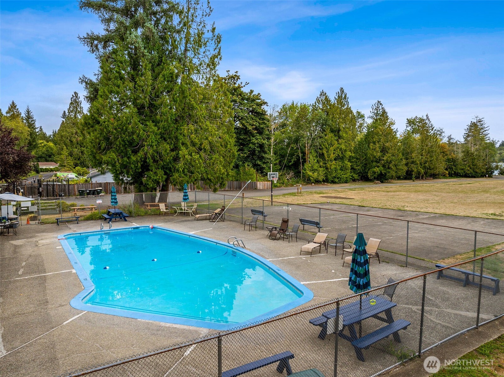 8107 Mazama Court Southwest Olympia, WA 98512 - Photo 29 of 34 a view of a swimming pool with lounge chairs