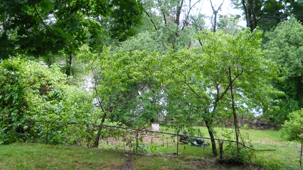 958 Main Street Holyoke, MA 01040 - Photo 5 of 6