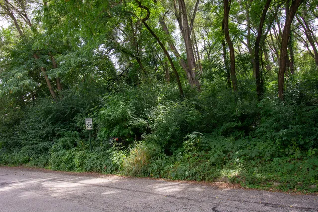 $56,000 | Lt10 95th Street, Genoa City, WI 53128