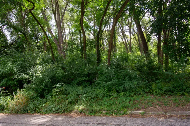 $56,000 | Lt10 95th Street, Genoa City, WI 53128