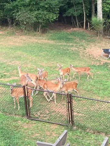 $424,900 | 21 Par Drive, Granite Falls, NC 28630