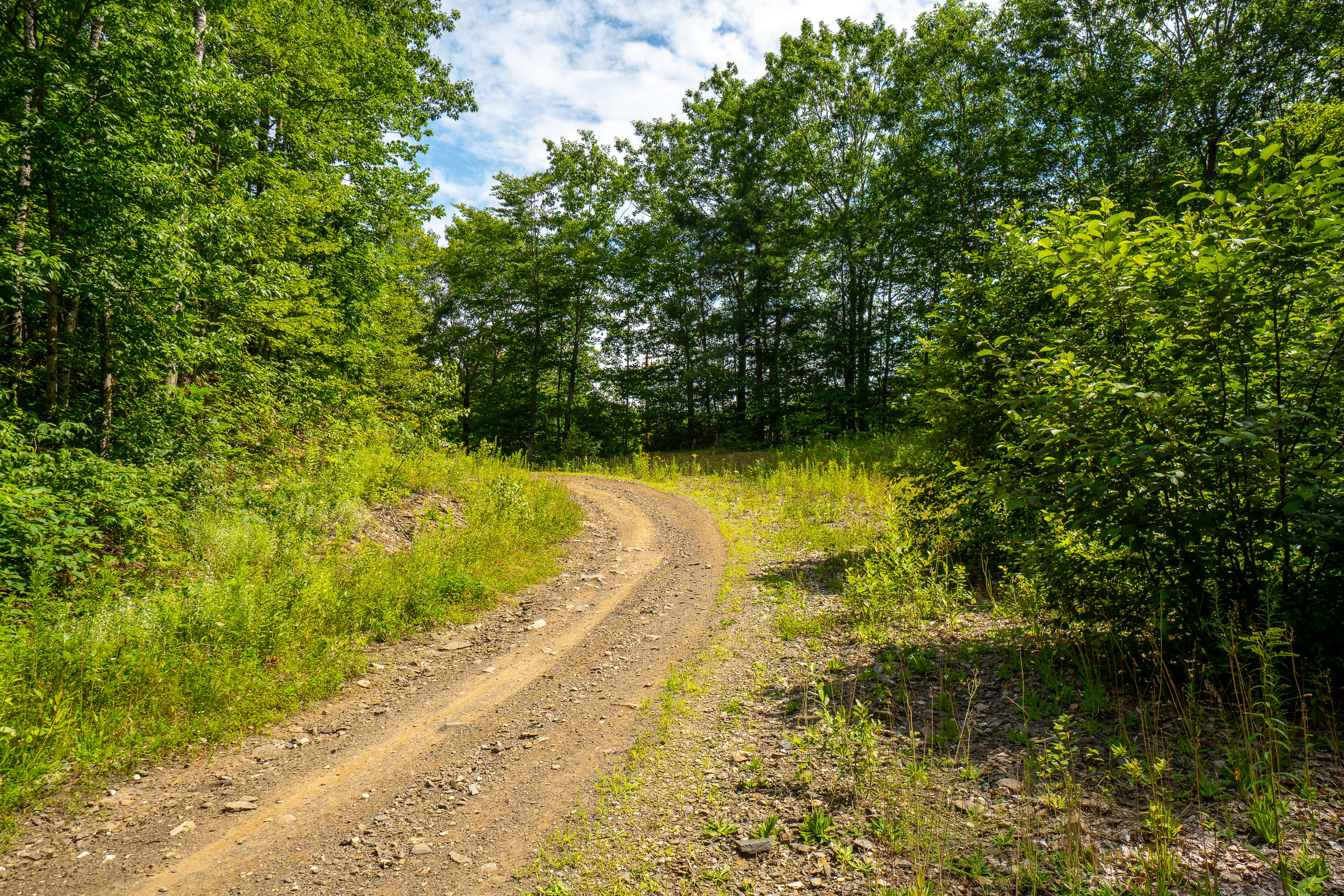 Map69-lot5 Dutton Road South China, ME 04358 - Photo 16 of 16 (27)_Land - China, ME(MAPS)