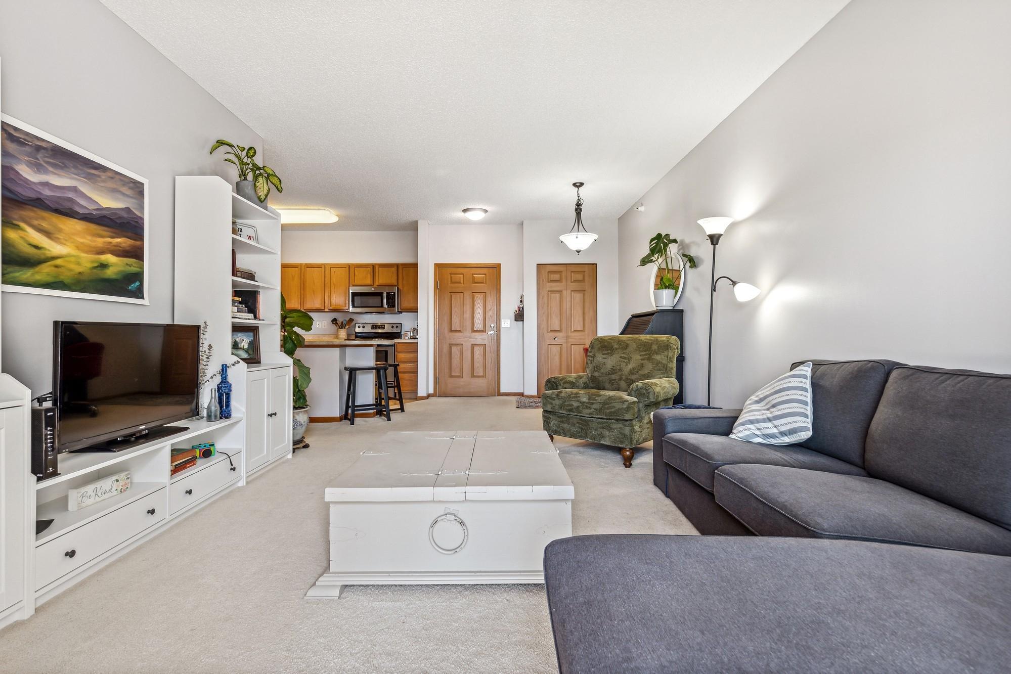 114200 Hundertmark Road, Unit 303 Chaska, MN 55318 - Photo 3 of 18 Gallery Image 3